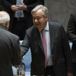 USA v Radě bezpečnosti vetovaly palestinskou žádost o plné členství v OSN 